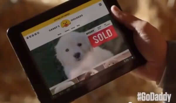godaddy lost puppy sold